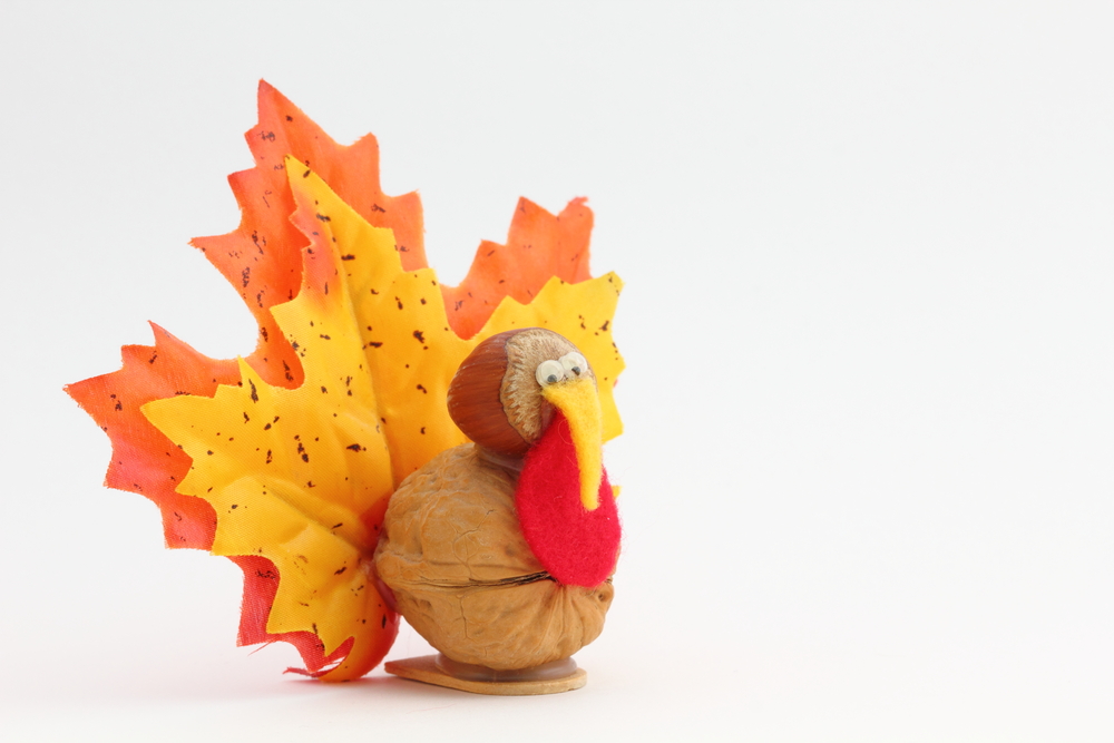 thanksgiving turkey craft thanksgiving turkey craft